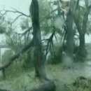 BIG IT KOREA 이미지