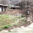 (주)토마토연구소 이미지