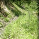 질경이농장 이미지