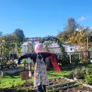 허수아비 이미지