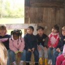 민준농장 이미지