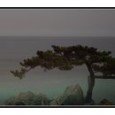엔디 이미지