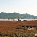 다솜펜션B 이미지