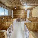 포우포우 반려견 유치원 이미지