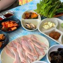 청강호 | 강화도 후포항 선수포구 밴댕이회 맛집 수광호에 다녀온 후기 청강호랑 비교