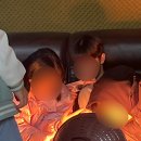 별빛백도 이미지