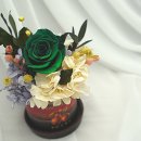 구로-구로-구로-266 이미지