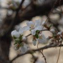 온스프리트 이미지