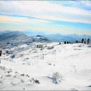 2월 4일(토) 눈꽃 산행의 명소 덕유산 향적봉 + 설천봉 눈꽃산행 안내 이미지
