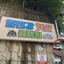 임진강 햇살 글램핑 이미지