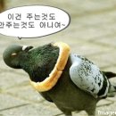 어장 이미지