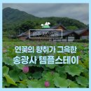 전북재활사 | 완주 자연힐링 :: 연꽃의 향취가 그윽한 송광사 템플스테이