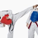 퇴계태권도장 이미지