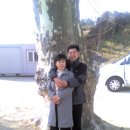 감천초교 Daum카페