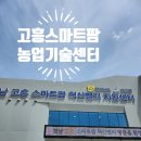 농업기술센터 | 고흥 스마트팜 &amp; 고흥농업기술센터 리얼후기