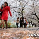 온후코리아 이미지