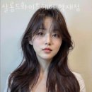 서초구 서초동 미용실 살롱드화이트헤어 양재점 운영시간 접근성 가격