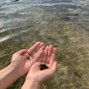 장좌리캠핑장 이미지