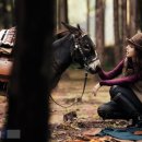 꼼빠니아 이미지