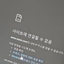 비빔데이 이미지