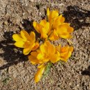 만덕2동-8 이미지