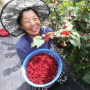 수철농장 이미지