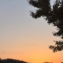 썸라유