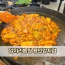 용인 양지 맛집 파인cc 닭갈비 맛집 양지리농원