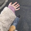 라스트 | 🍢 대전 대흥동 라스트춘선 후기