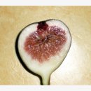 바램과믿음 이미지