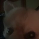 금학로187번길 이미지