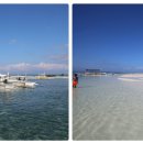 제주보홀 이미지