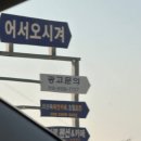 [강화 석모도 맛집] 애견동반 명량칼국수 내돈내산 후기~