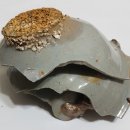 장안동 백자가마터 이미지