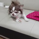 폴리파크 수성교점 이미지