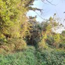 사라봉경로당 이미지