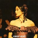 카멜리아 이미지