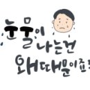 웰마운트티비 이미지