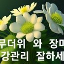 새중앙의원 이미지