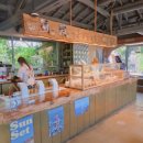 벨진밧 | 제주투어패스로 다녀온 제주 핫플 카페 벨진밧 후기｜제주 감성카페 추천