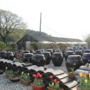 지은농장 이미지