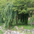 남서대로 이미지