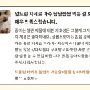 KNOLLO(놀로) 이미지