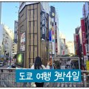 아름태권도 | 겨울 일본 도쿄 여행 3박4일 여행루트 여행코스 일정