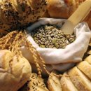 1호피티 이미지