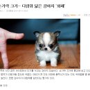 아 이미지