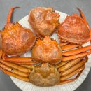 당신만이 | 구미 홍게 맛집 당신대게 포장 후기 수율 걱정 없는 구미 매출 1위 대게집