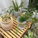 경산꽃집 이미지