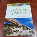 한국의 양봉산업과 꿀벌살리기 운동 이미지