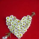 여운이네 이미지